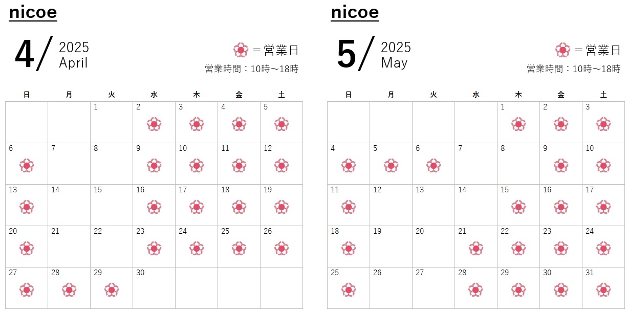 202504-05_nicoe.jpg