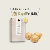 【coneri】conerichobi三方原ばれいしょ<br>新じゃが発売