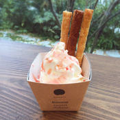 【coneri】一足先に春気分♪<br>「桜」のパイ&チベタが登場！