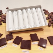 【cacao lab.】冬の特別企画<br>「8種の産地 利きチョコ・ラボ」