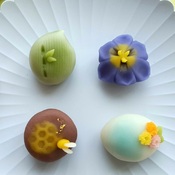 【春華堂】5月の上生菓子のお知らせ