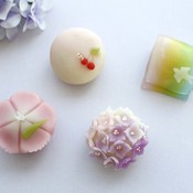 【春華堂】<br>6月の上生菓子のお知らせ