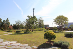 landscape くるりの森 nicoe garden