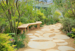 landscape くるりの森 nicoe garden