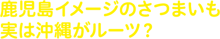 やきいもフェス