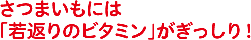 やきいもフェス