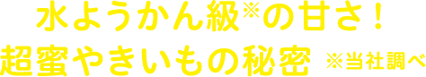 やきいもフェス