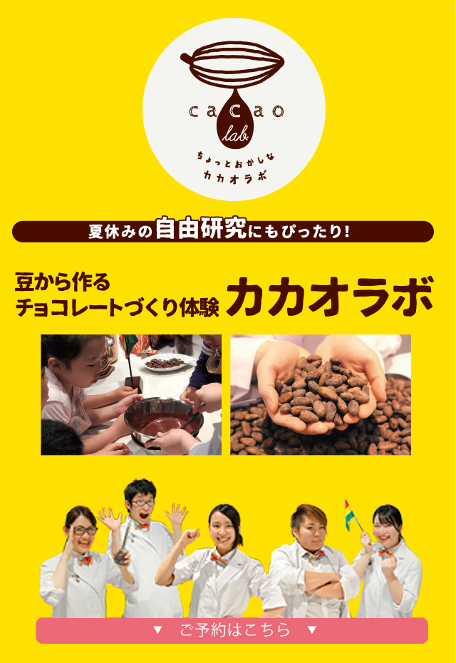 夏休みの自由研究にもぴったり！豆からつくるチョコレートづくり体験カカオラボ